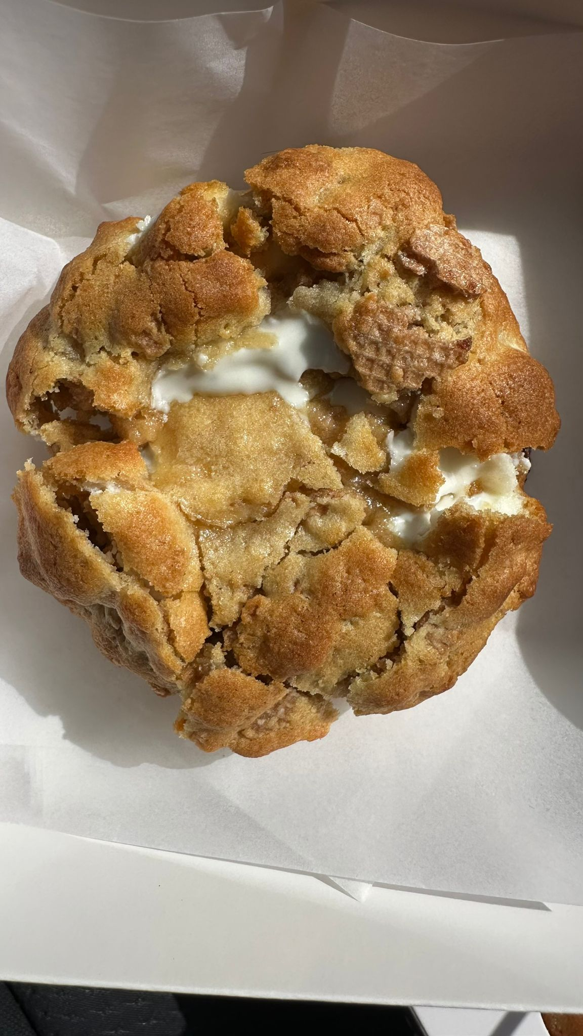 Cocoset cookies